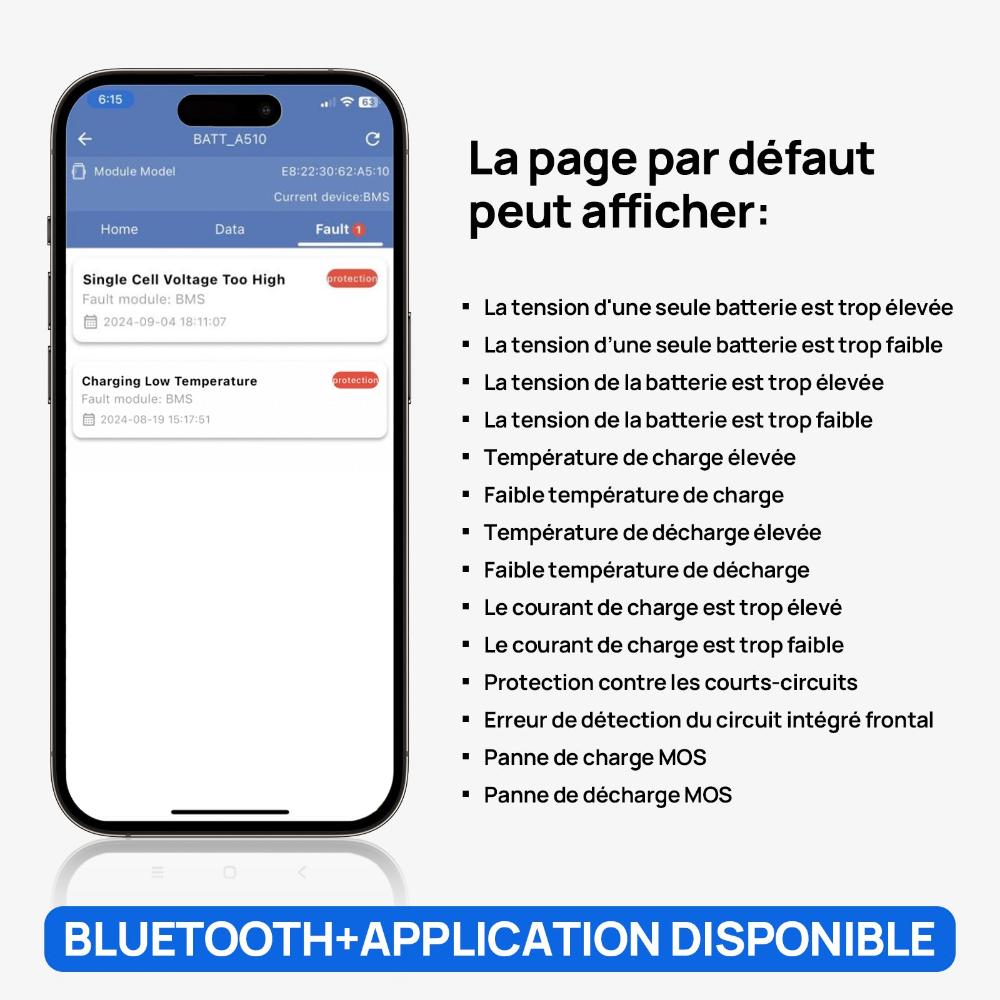 eco-worthy Bluetooth APP page default page information display