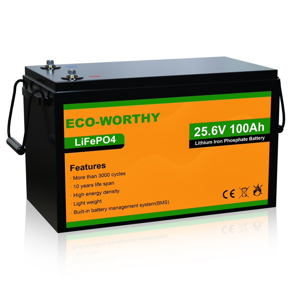 LANPWR 24V 100Ah LiFePO4 Batterie Au Lithium, Alimentation de Secours,  Énergie 2560Wh, 4000+ Cycles Profonds, BMS 100A Intégré - Cdiscount  Bricolage