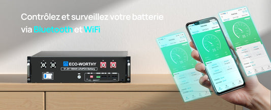 Batterie Rack 48V 100Ah : Stockage d’Énergie Idéal pour la Maison - eco-worthy-fr
