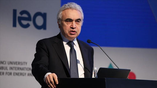 IEA Outlines Plan to Accelerate Renewable Power Project for Mitigating European Energy Crisis - eco-worthy-fr