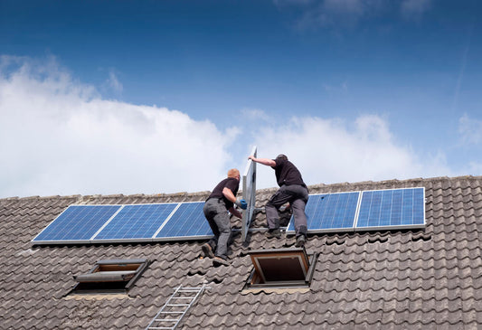 The US Solar Industry in 2021- Rising Price but Strong Demand - eco-worthy-fr