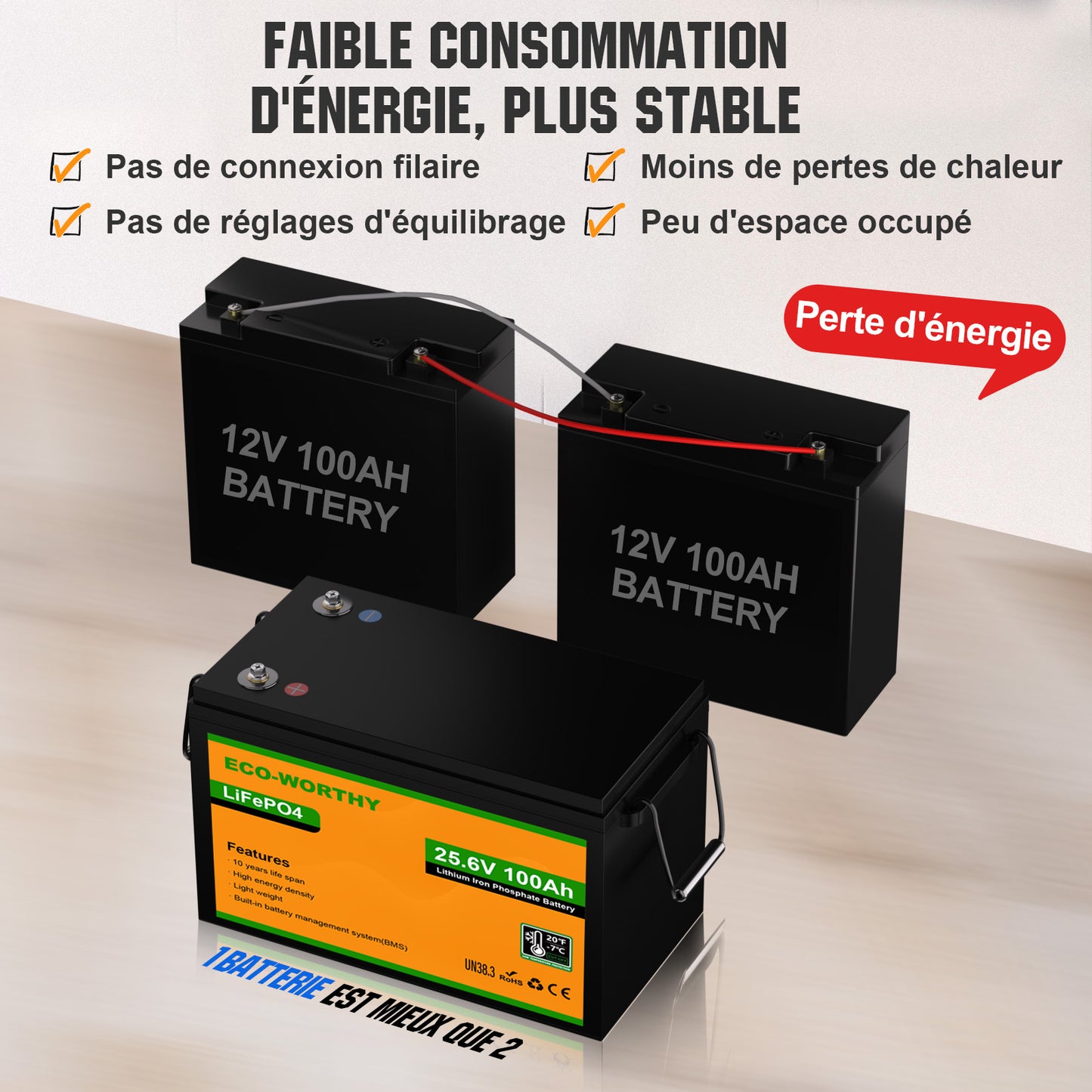 Batterie lithium LiFePO4 24V 100Ah-Protection Contre les Basses Températures
