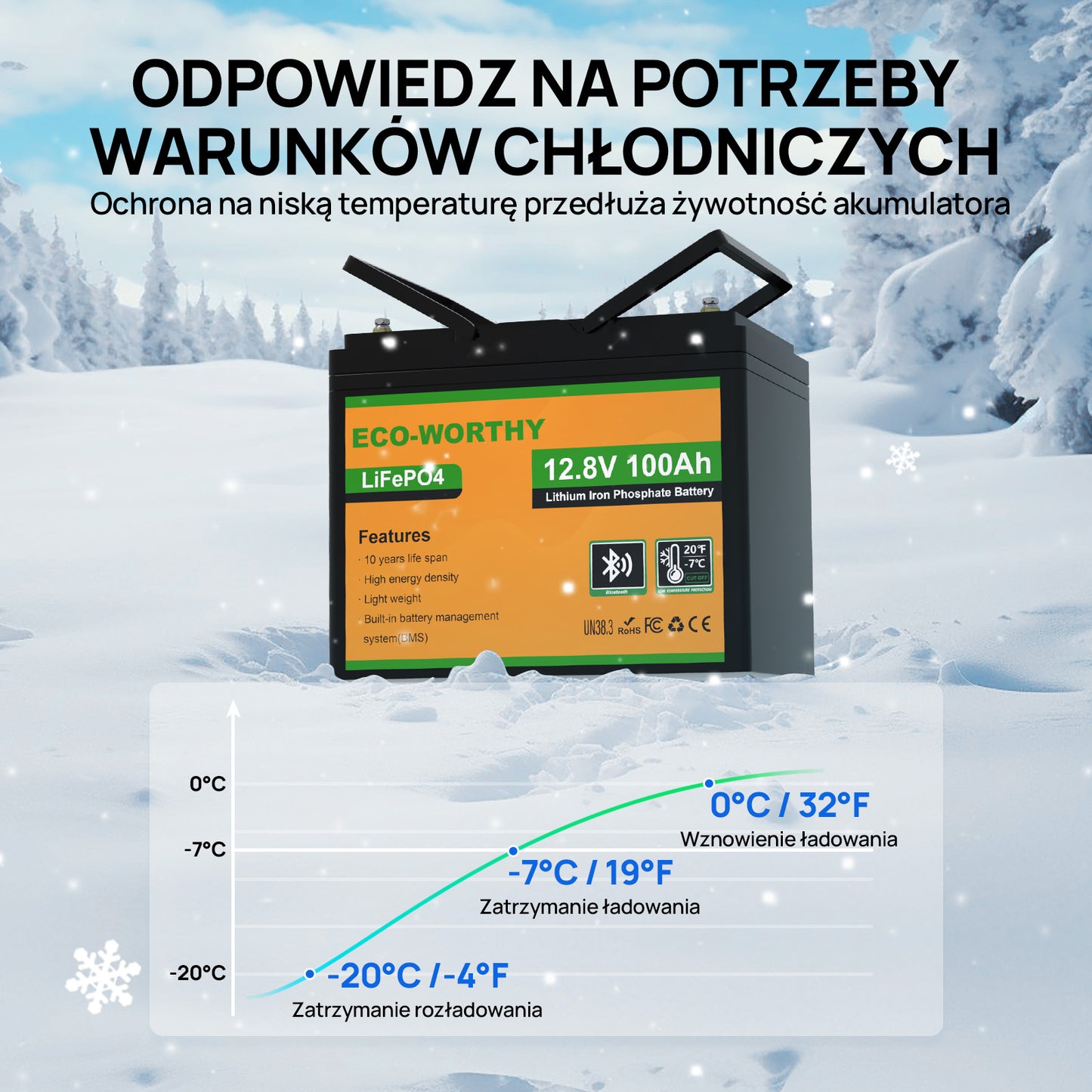 Akumulator litowy LiFePO4 12V 100Ah z Bluetooth – zabezpieczenie przed niską temperaturą