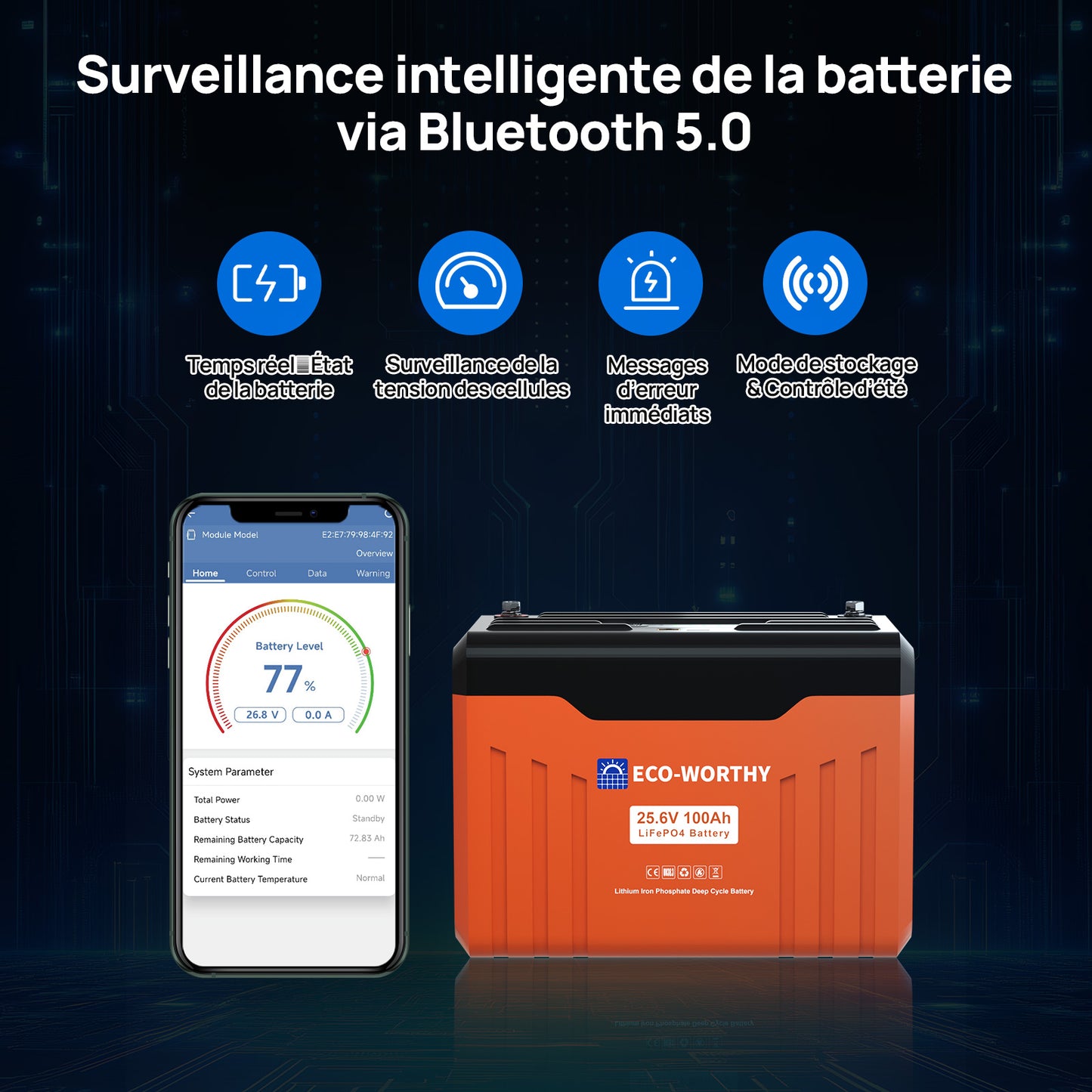 Batterie au lithium LiFePO4 24V 100Ah Bluetooth avec protection basse température, Lumières LED SOC, 100A BMS