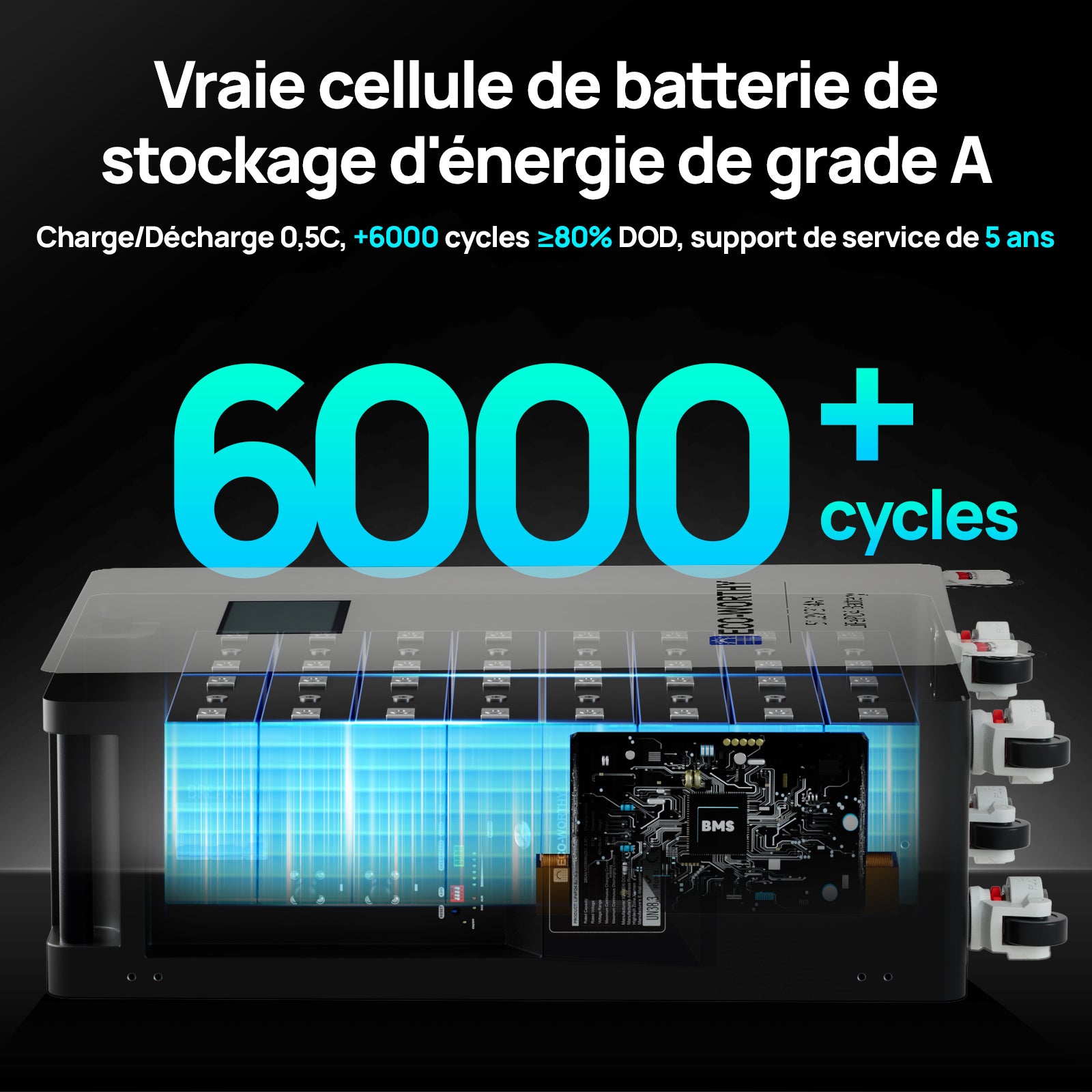 Batterie Domestique au Lithium Lifepo4 ECO-WORTHY 48V 314Ah | Modèle Sur Pied Avec Roulettes