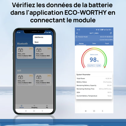 Eco-Worthy Batterie au lithium LiFePO4 12V100Ah Bluetooth, Lumières LED SOC
