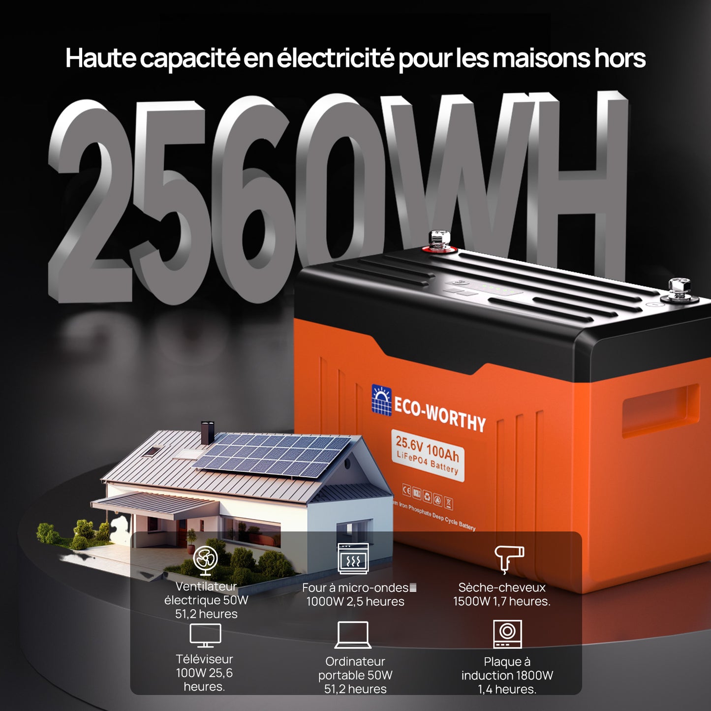 Batterie au lithium LiFePO4 24V 100Ah Bluetooth avec protection basse température, Lumières LED SOC, 100A BMS