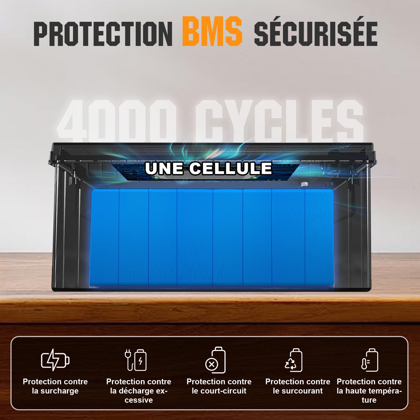 Batterie lithium LiFePO4 24V 100Ah-Protection Contre les Basses Températures