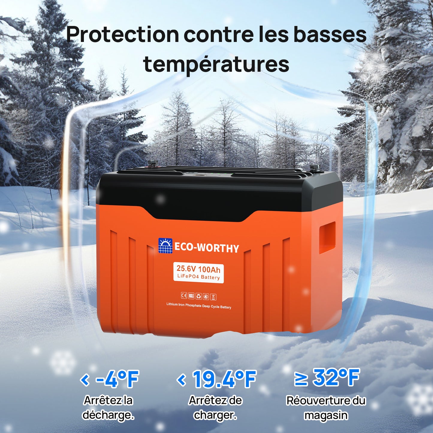 Batterie au lithium LiFePO4 24V 100Ah Bluetooth avec protection basse température, Lumières LED SOC, 100A BMS