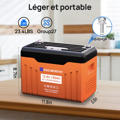 Eco-Worthy Batterie au lithium LiFePO4 12V100Ah Bluetooth, Lumières LED SOC