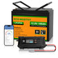 Batterie lithium LiFePO4 12V 100Ah avec Bluetooth-Prot. basse temp.