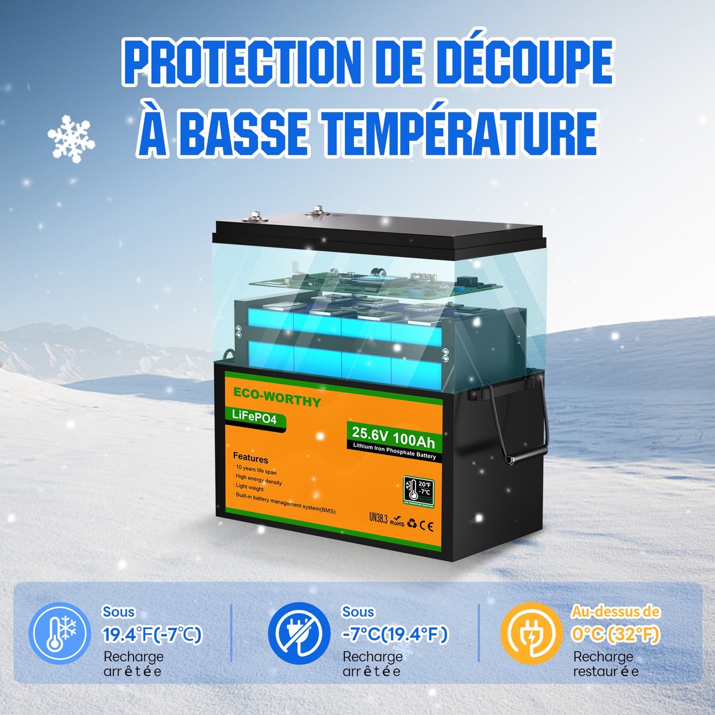 Batterie lithium LiFePO4 24V 100Ah-Protection Contre les Basses Températures