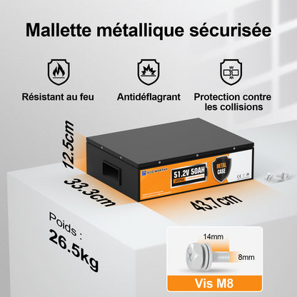 Eco-Worthy Batterie lithium LiFePO4 48V 50Ah