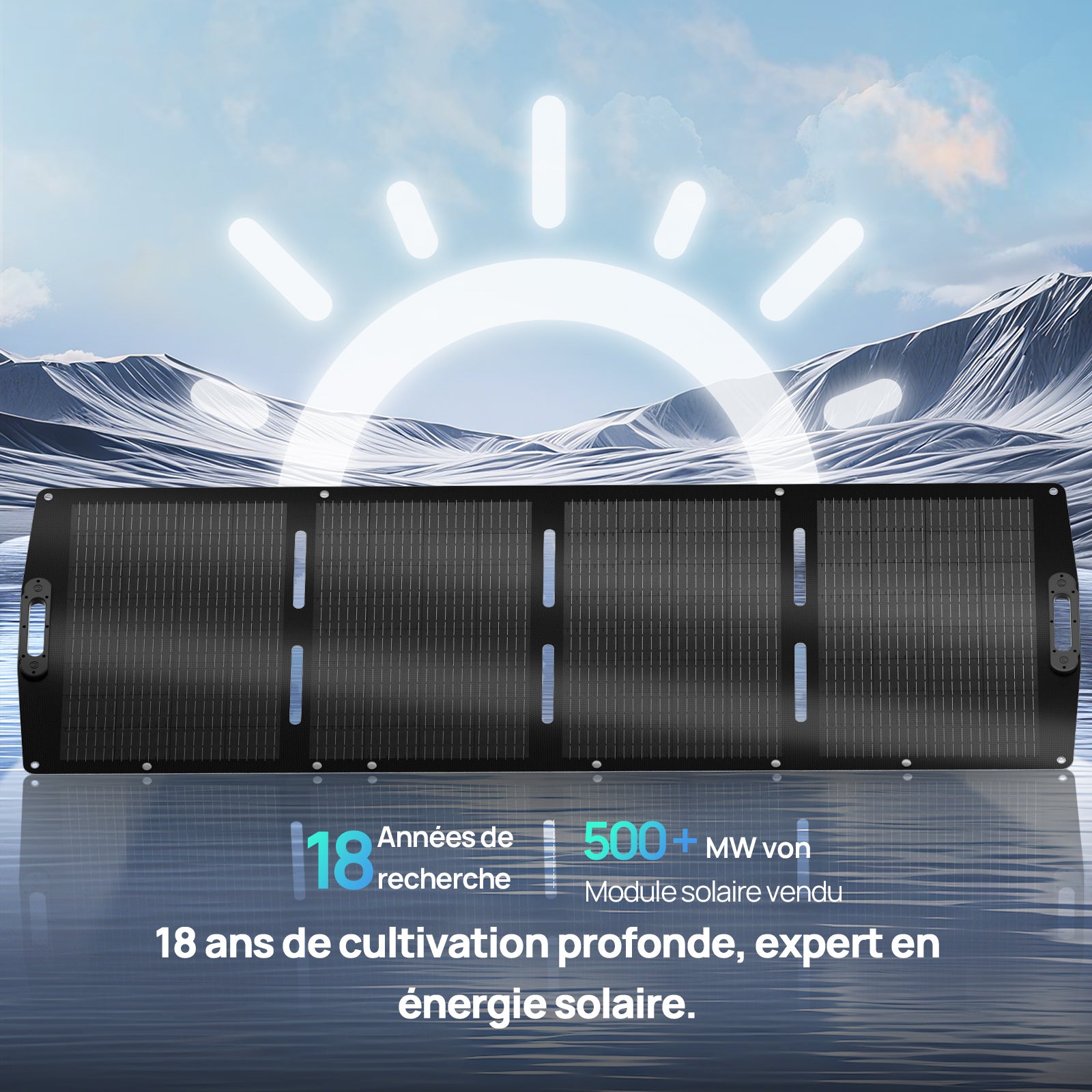 Panneau solaire portable 200W Pour Camping-car | ECO-WORTHY