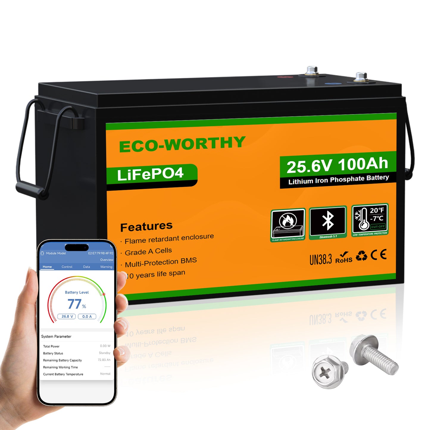 Batterie au lithium LiFePO4 24 V 100 Ah avec Bluetooth et protection contre les basses températures