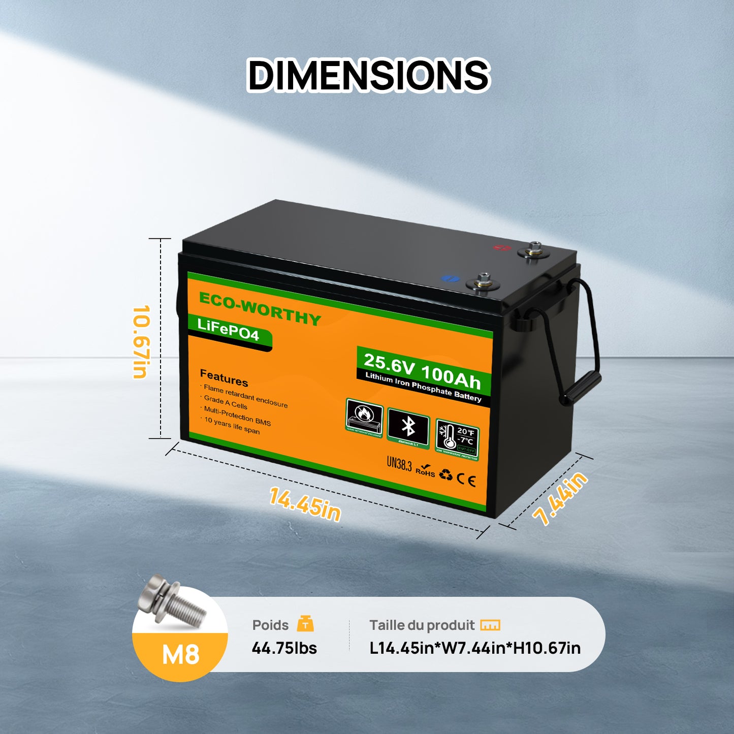 Batterie au lithium LiFePO4 24 V 100 Ah avec Bluetooth et protection contre les basses températures
