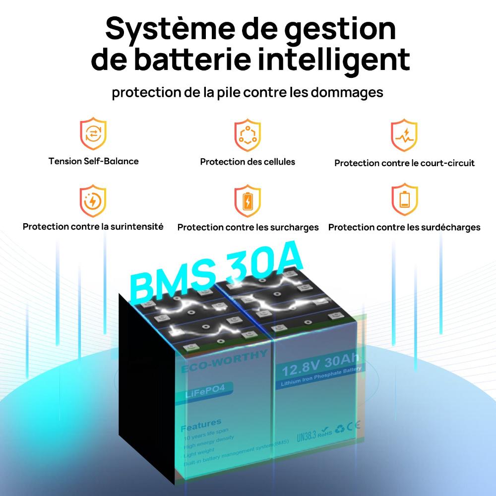 Batterie au lithium 12v30ah, système de protection BMS intégré