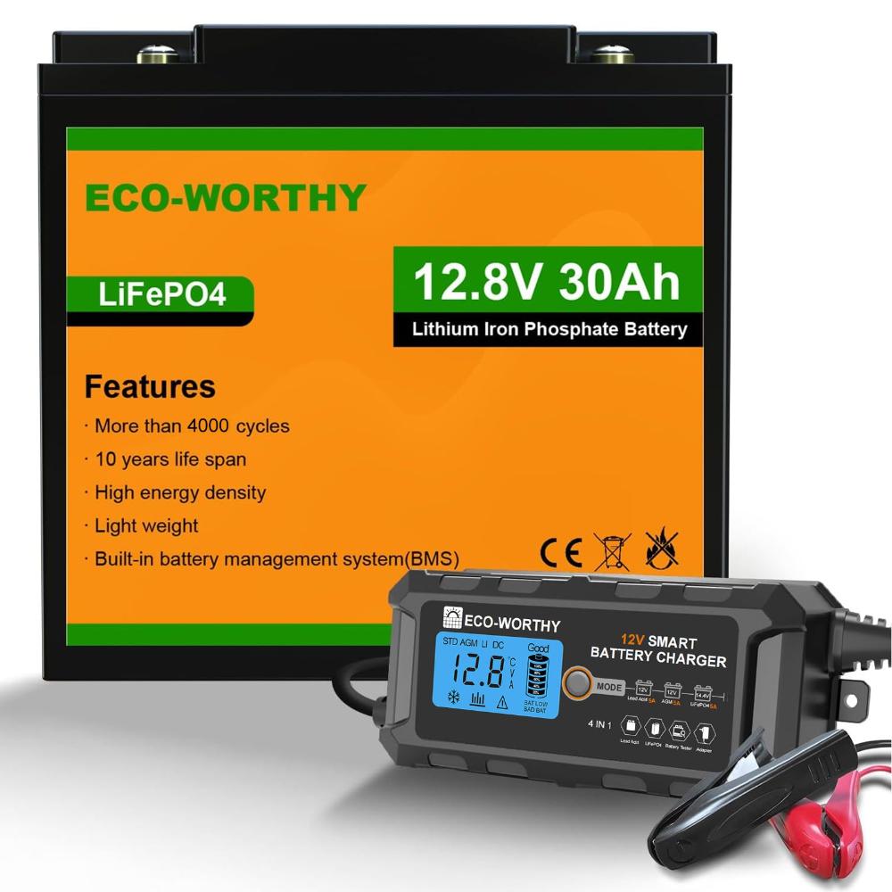 Bluetooth 12v30ah avec chargeur 5A| ECO-WORTHY