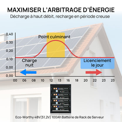 Eco-Worthy CUBIX100 Batterie LiFePO4 Rackable 48V 100Ah | IEC 61000 et Garantie 10 ans