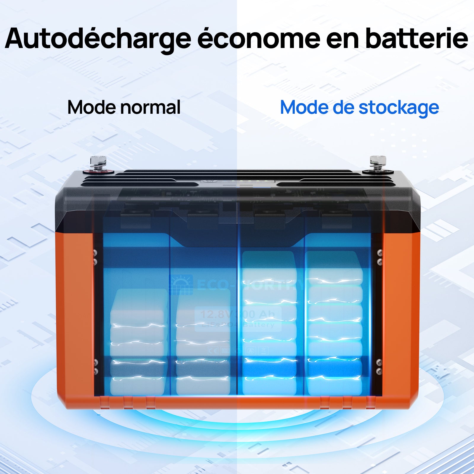 Eco-Worthy 12V 300 Ah Batterie lithium   avec Bluetooth, affichage LED, indicateur de niveau de charge et coupure automatique en cas de basse température.