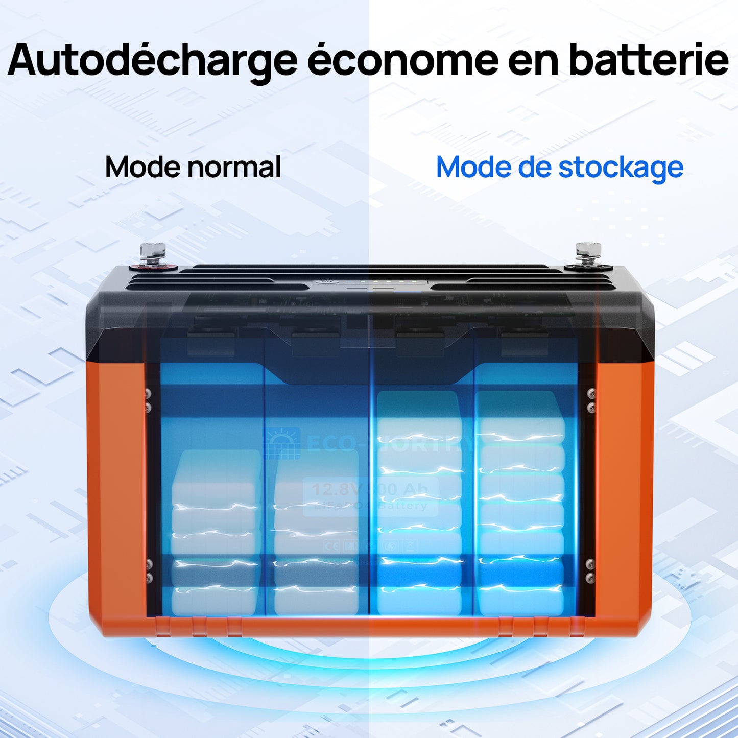 Eco-Worthy 12V 300 Ah Batterie lithium   avec Bluetooth, affichage LED, indicateur de niveau de charge et coupure automatique en cas de basse température.