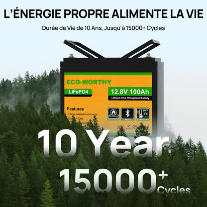 Eco-Worthy Batterie lithium LiFePO4 12V 100Ah avec Bluetooth-Prot. basse temp.