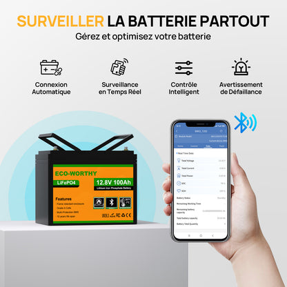 Eco-Worthy Batterie lithium LiFePO4 12V 100Ah avec Bluetooth-Prot. basse temp.