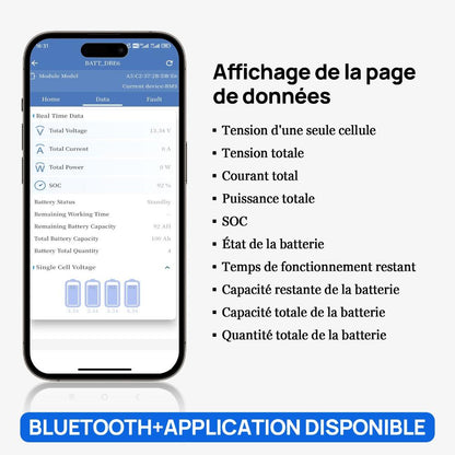 Eco-Worthy Bluetooth APP page 
 date information display