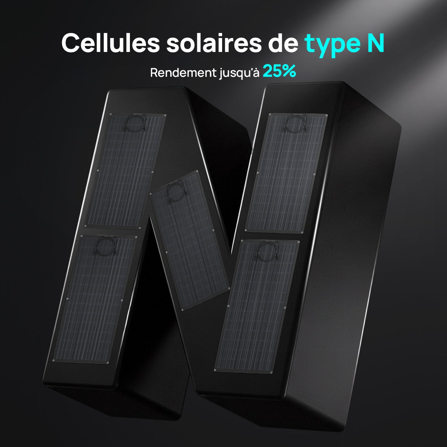 Eco-Worthy Panneau solaire Mono Flexible 200W
