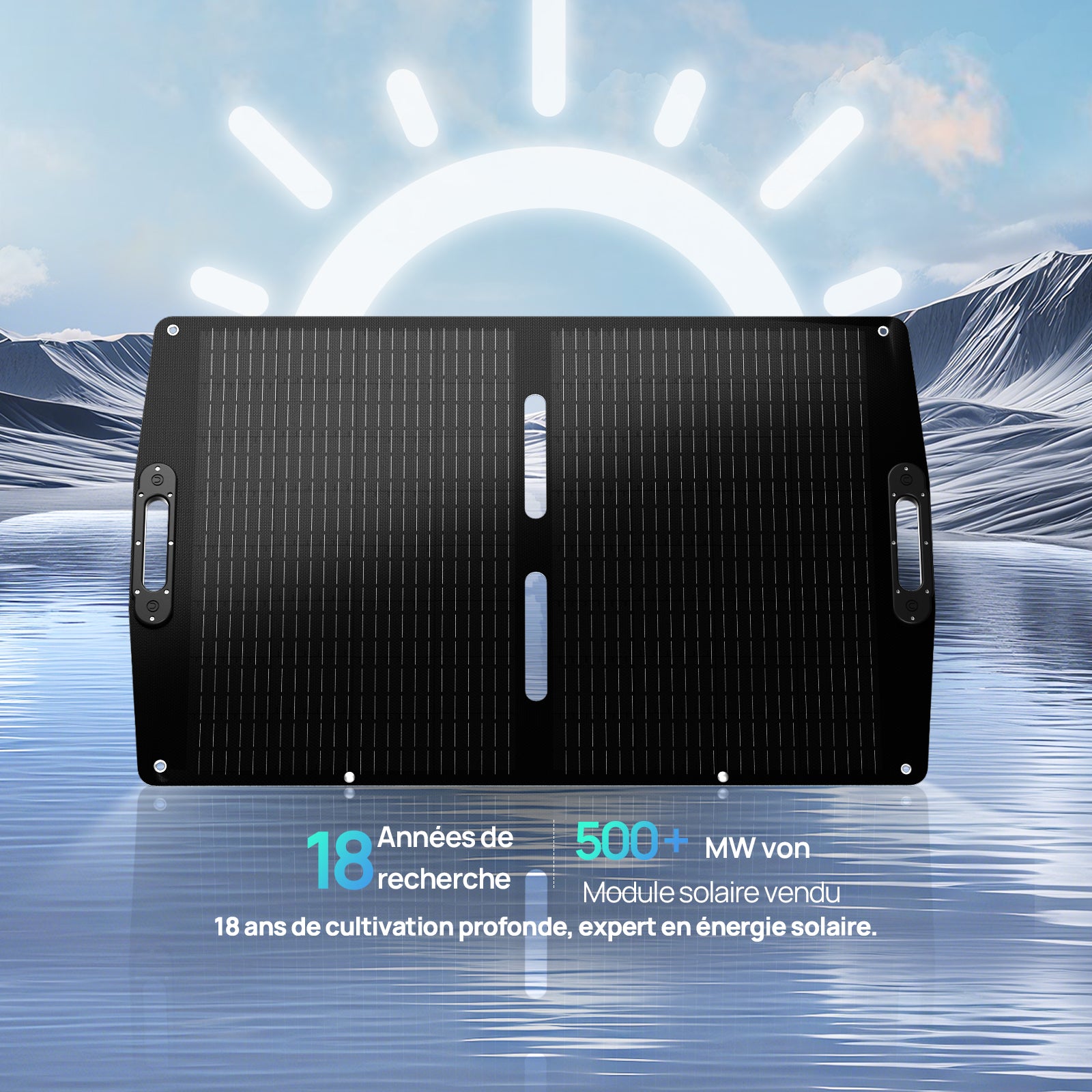 Panneau solaire pliable portable 12 V 100 W