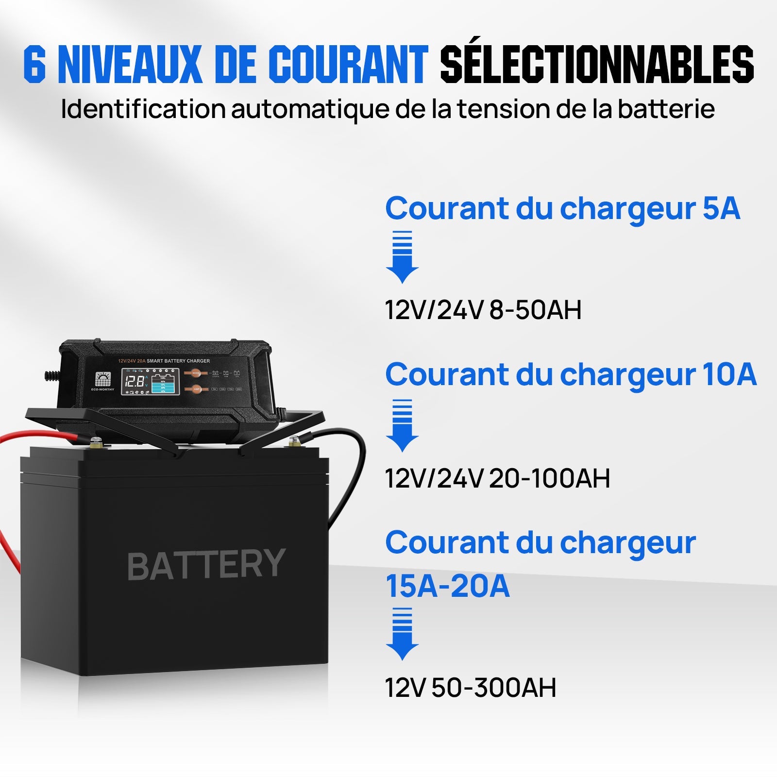 Chargeur de batterie intelligent 20A 12V/24V avec écran LCD pour la plupart des batteries - eco-worthy-fr