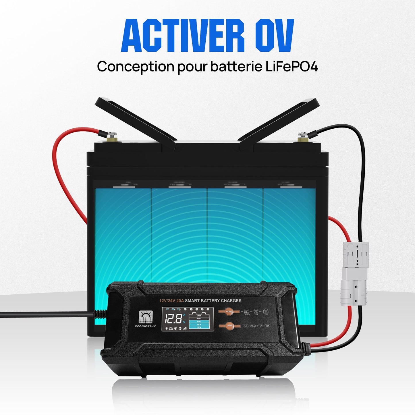 Chargeur de batterie intelligent 20A 12V/24V avec écran LCD pour la plupart des batteries - eco-worthy-fr
