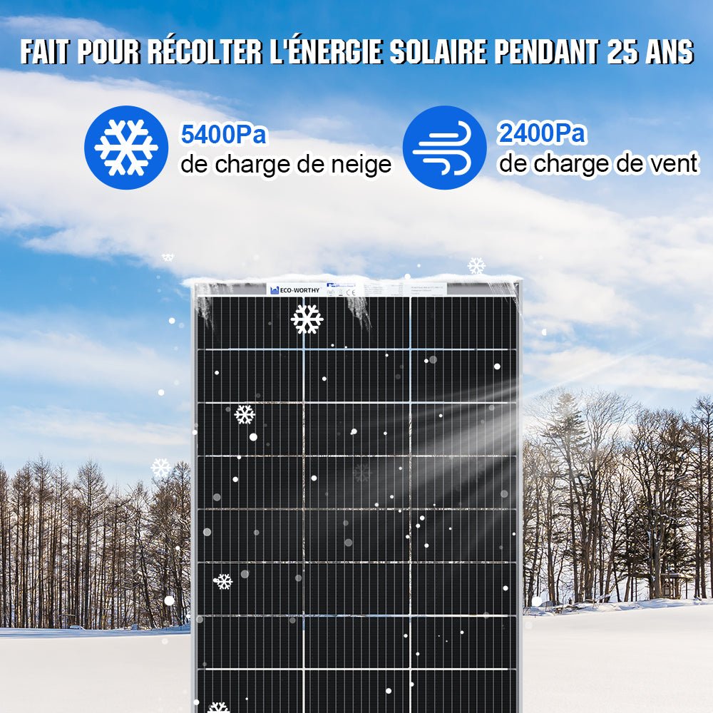 Eco-Worthy 195W 12V panneau solaire monocristallin bifacial - eco-worthy-fr
