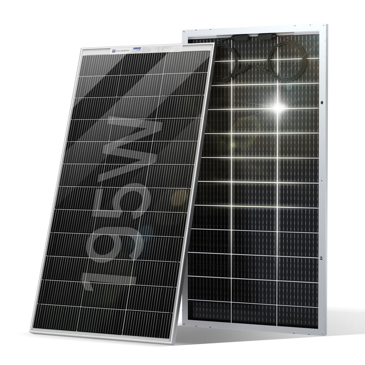 Eco-Worthy 195W 12V panneau solaire monocristallin bifacial - eco-worthy-fr