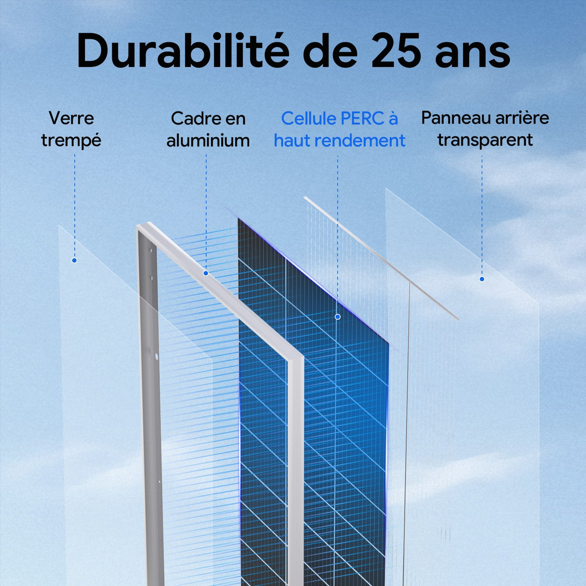 Eco-Worthy 195W 12V panneau solaire monocristallin bifacial - eco-worthy-fr