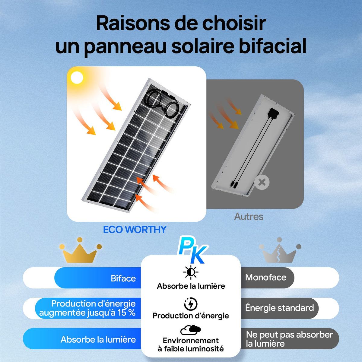 Eco-Worthy 195W 12V panneau solaire monocristallin bifacial - eco-worthy-fr