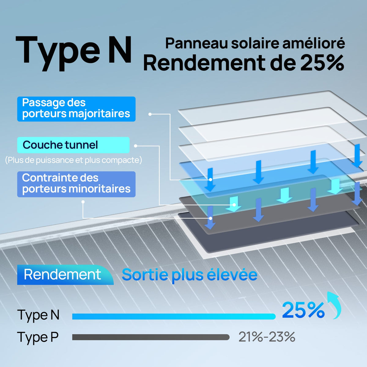 Eco-Worthy 195W 12V panneau solaire monocristallin bifacial - eco-worthy-fr