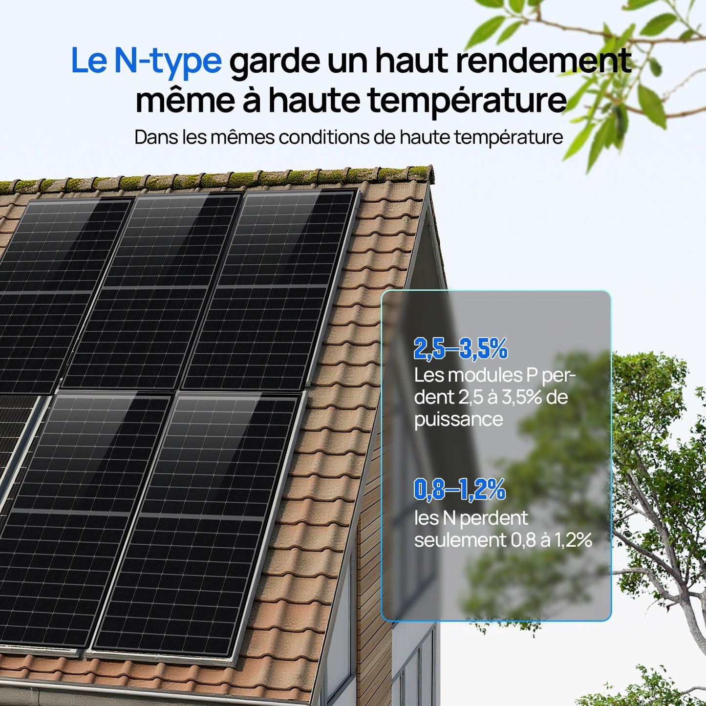 Eco-Worthy 400w Panneau solaire Mono N-Type - eco-worthy-fr