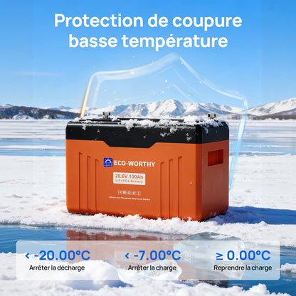Eco-Worthy Batterie au lithium LiFePO4 24V 100Ah Bluetooth avec Lumières LED SOC - eco-worthy-fr