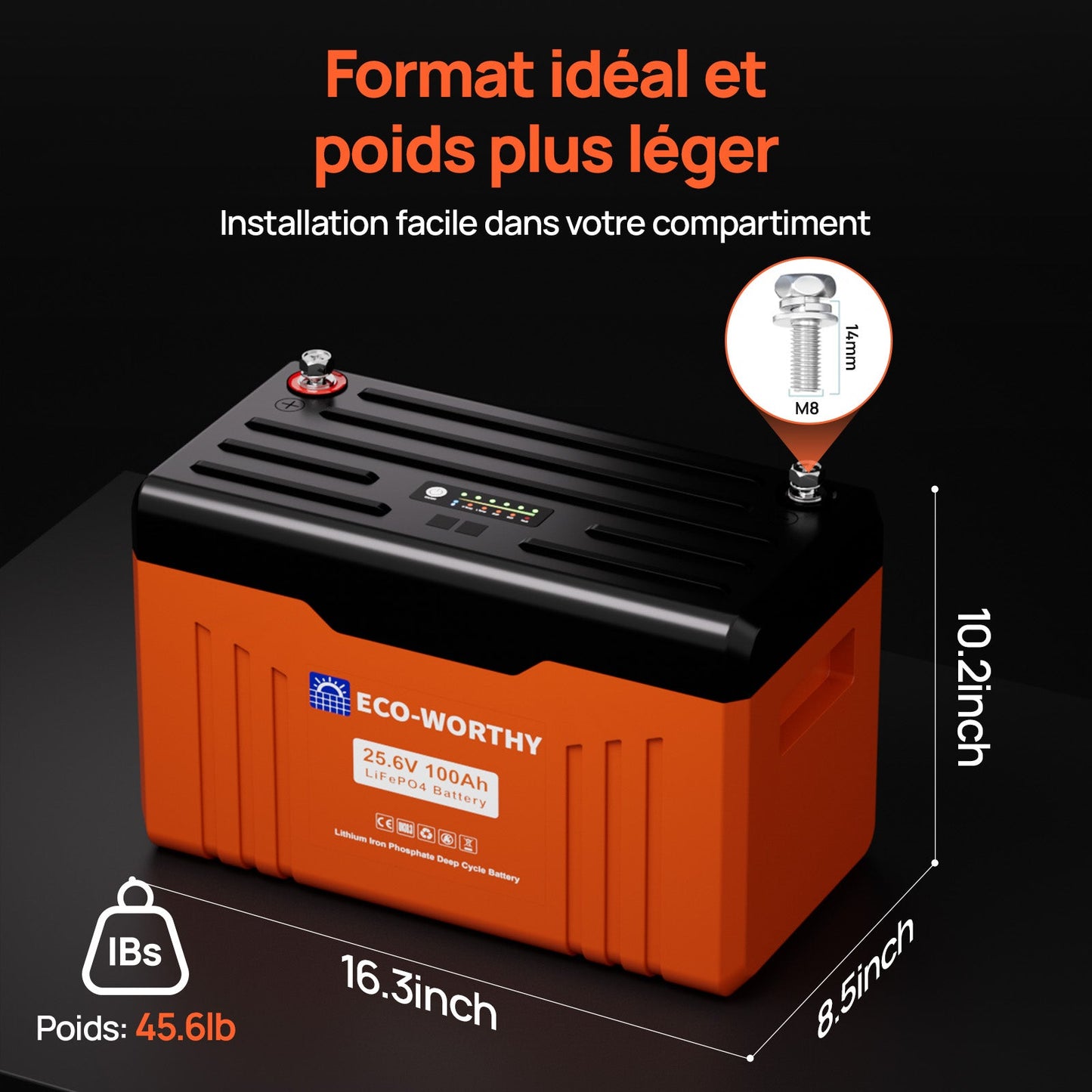 Eco-Worthy Batterie au lithium LiFePO4 24V 100Ah Bluetooth avec Lumières LED SOC - eco-worthy-fr