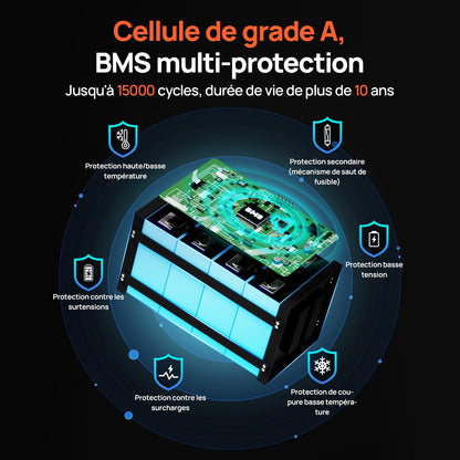Eco-Worthy Batterie au lithium LiFePO4 24V 100Ah Bluetooth avec Lumières LED SOC - eco-worthy-fr