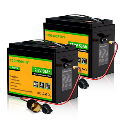 Eco-Worthy Batterie LiFePO4 12V 50Ah avec XT60, Bluetooth, BMS et protection basses températures - eco-worthy-fr