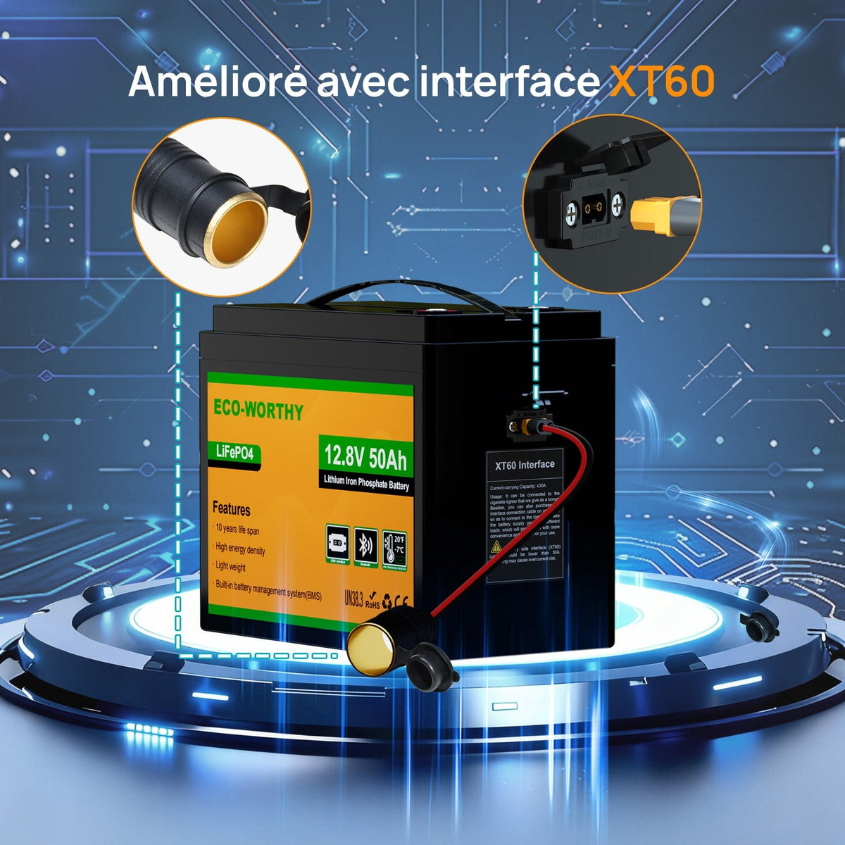 Eco-Worthy Batterie LiFePO4 12V 50Ah avec XT60, Bluetooth, BMS et protection basses températures - eco-worthy-fr