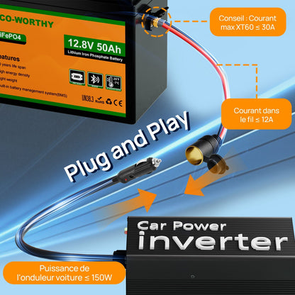 Eco-Worthy Batterie LiFePO4 12V 50Ah avec XT60, Bluetooth, BMS et protection basses températures - eco-worthy-fr