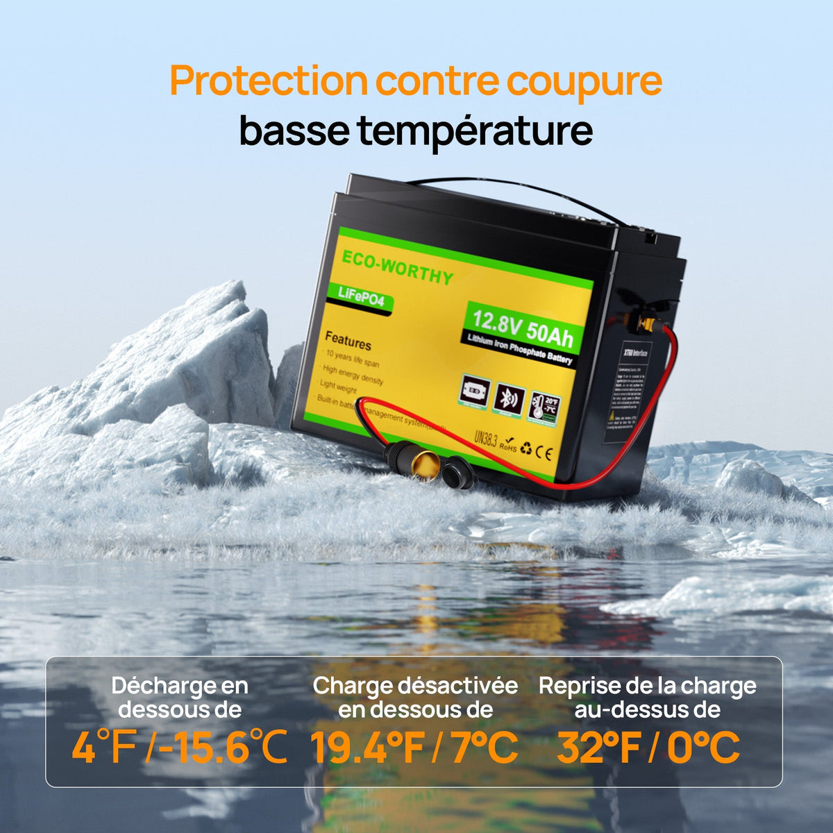 Eco-Worthy Batterie LiFePO4 12V 50Ah avec XT60, Bluetooth, BMS et protection basses températures - eco-worthy-fr