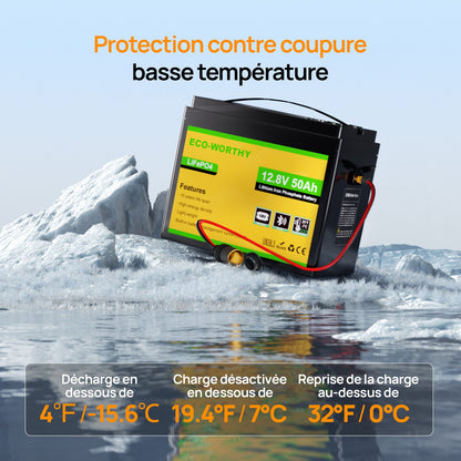 Eco-Worthy Batterie LiFePO4 12V 50Ah avec XT60, Bluetooth, BMS et protection basses températures - eco-worthy-fr