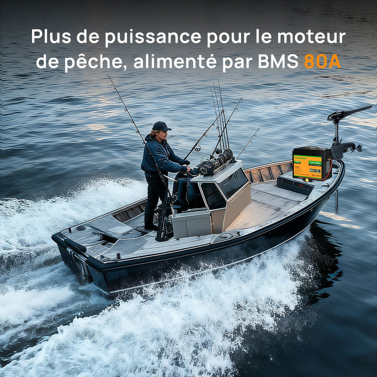 Eco-Worthy Batterie LiFePO4 12V 50Ah avec XT60, Bluetooth, BMS et protection basses températures - eco-worthy-fr