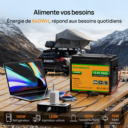 Eco-Worthy Batterie LiFePO4 12V 50Ah avec XT60, Bluetooth, BMS et protection basses températures - eco-worthy-fr