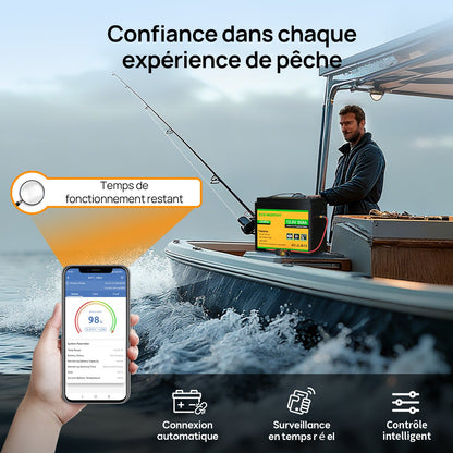 Eco-Worthy Batterie LiFePO4 12V 50Ah avec XT60, Bluetooth, BMS et protection basses températures - eco-worthy-fr