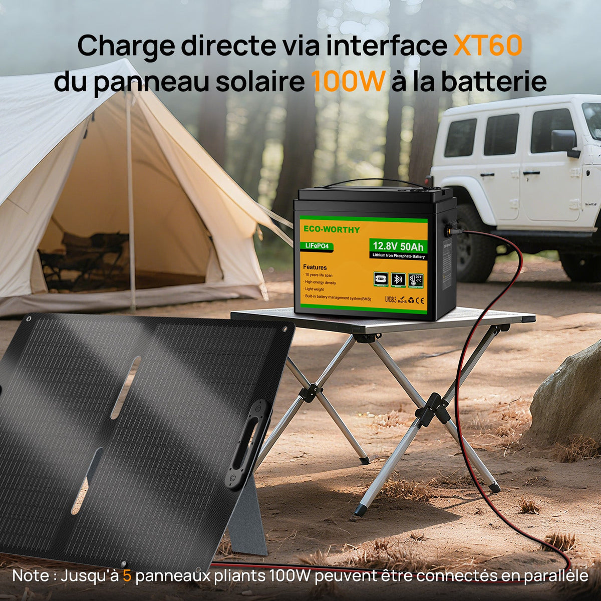 Eco-Worthy Batterie LiFePO4 12V 50Ah avec XT60, Bluetooth, BMS et protection basses températures - eco-worthy-fr